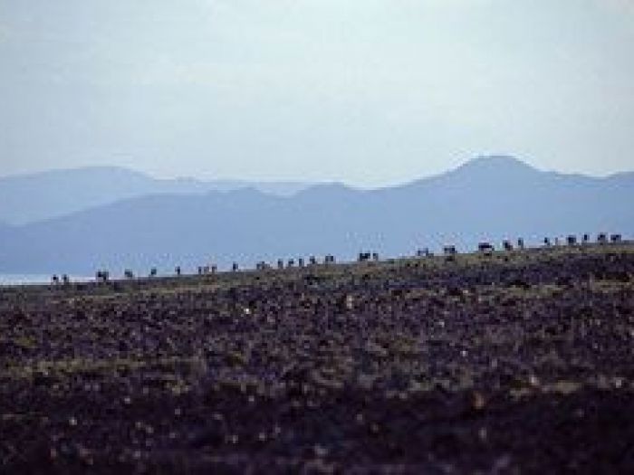 Archisio - Nico Marziali - Progetto Lucca e africa