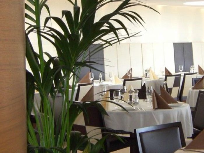 Archisio - Mondi Design - Progetto Trattoria san marco - preston