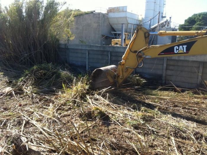 Archisio - Service Garden - Progetto Manutenzione verde