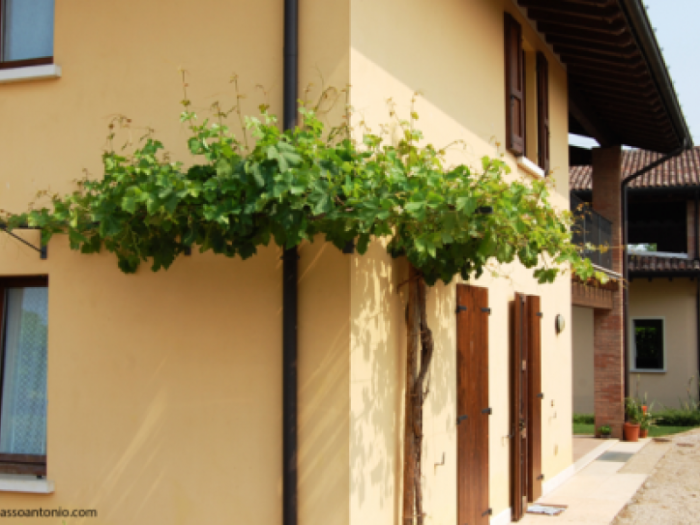 Archisio - Studio Massardi E Zubani - Progetto Bb al mulino