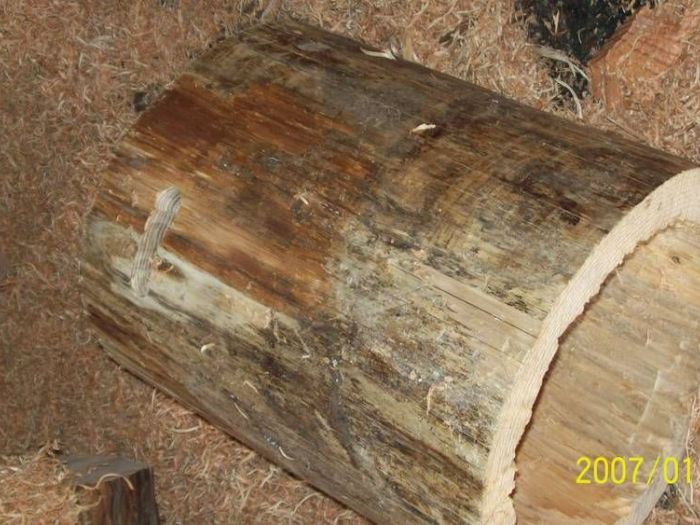 Archisio - Falegnameria Ferruzzi - Progetto Falegnameria