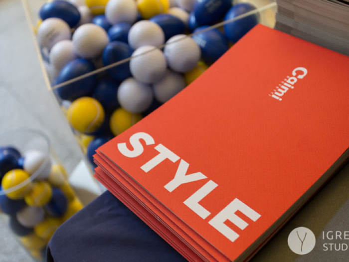 Archisio - Igreg Studio - Progetto Corporate e attivit commerciale