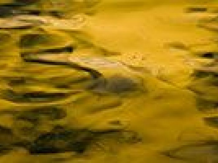 Archisio - Nico Marziali - Progetto Piazza di spagna e venezia