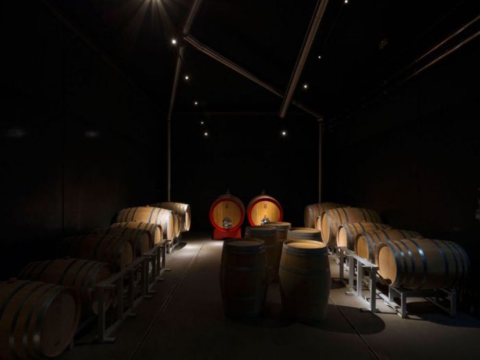 Archisio - Manuel Benedikter - Progetto Vineyard cobue