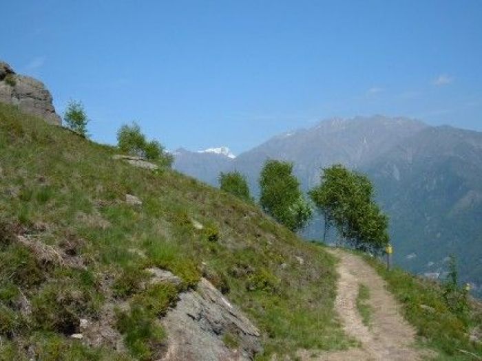 Archisio - Studio Di Agronomia E Architettura Del Paesaggio - Progetto Progetto paesaggio biellese