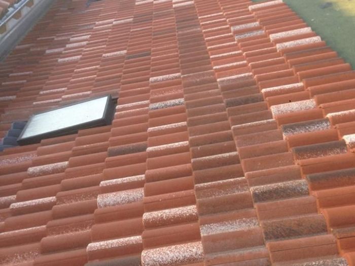 Archisio - Edilriviera srl - Progetto Edilizia civile