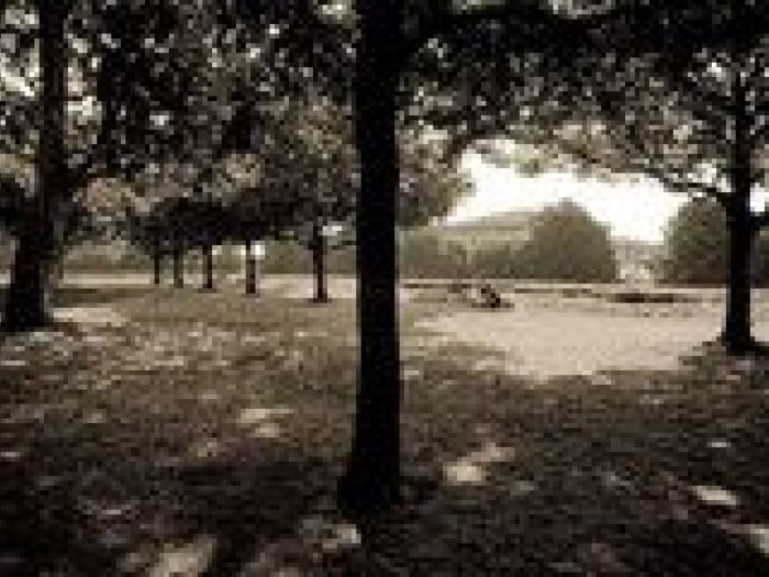 Archisio - Nico Marziali - Progetto Lucca e africa