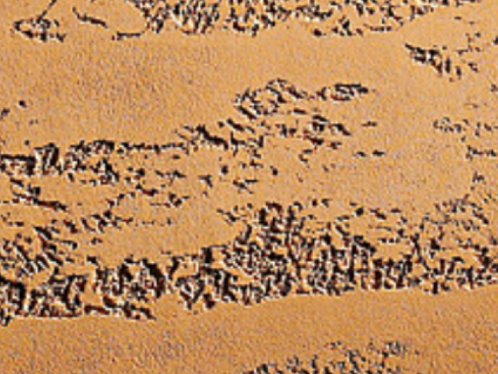 Archisio - Baroni Ermano - Progetto Realizziamo effetti per ogni stile o tipologia di ambiente