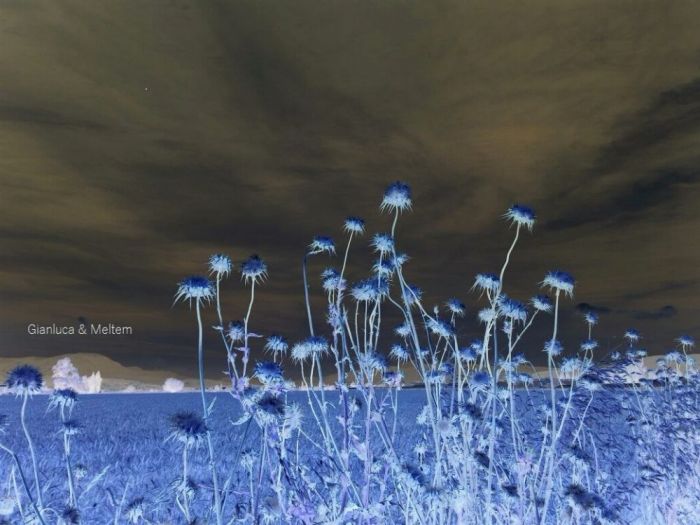 Archisio - Gianluca Vetrugno Meltem Kosan the Art Of The Negative - Artisti - Progetto Galleria 2 paesaggi