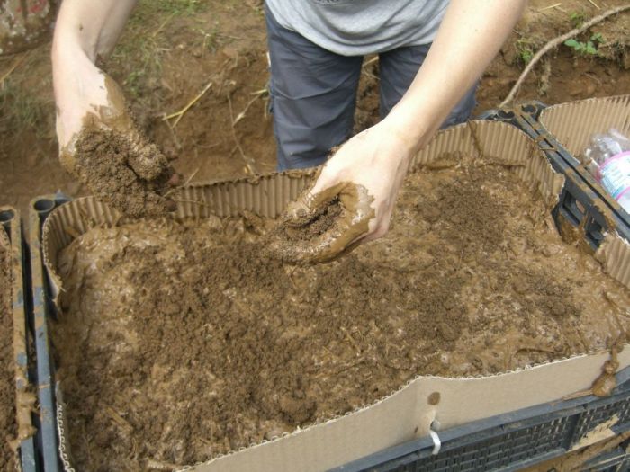 Archisio - Luxurysign - Progetto Charity