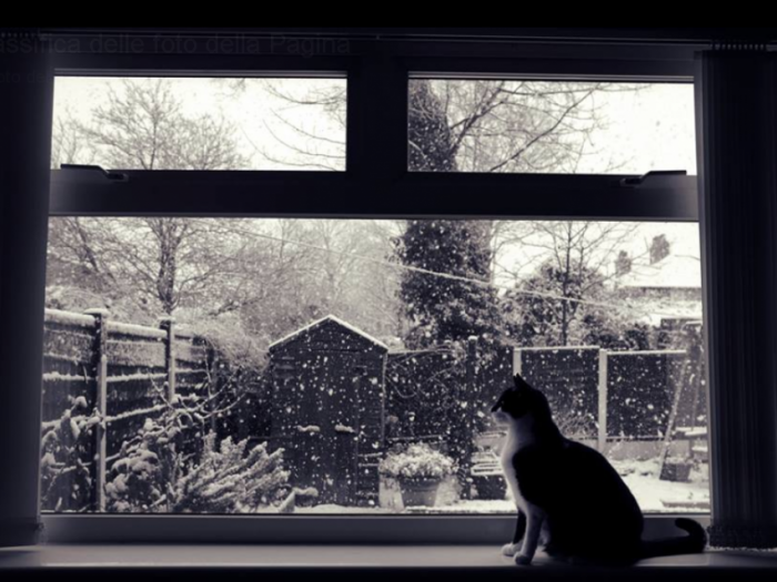 Archisio - Vem srl - Progetto Vem srl