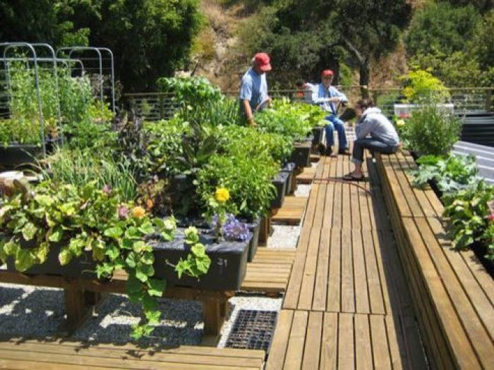 Archisio - Beppino Di Giusto - Progetto Tetti verdi e orti urbani