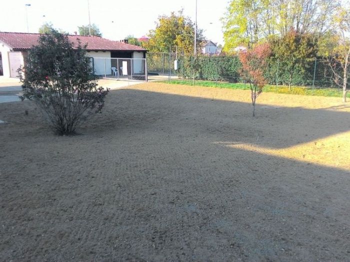 Archisio - Claudio Raiteri Verde Giardino - Progetto Irrigazione rigenerazione pratorigenerazione pratotree climbingisolamento solai