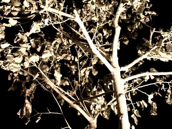 Archisio - Sonia Valente - Progetto Aa10