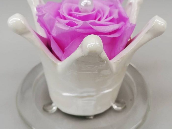 Archisio - Robi Bonaita Alessio Bonaita Fabiano Bonaita - Progetto I fiori di ornella