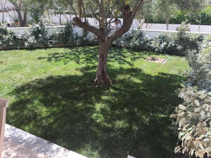 Archisio - Rocca Di Mezzo Srls - Progetto Giardini