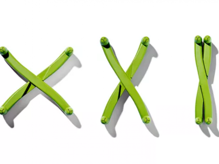 Archisio - Fabio Casiraghi Design - Progetto Projectsconcon 20032010