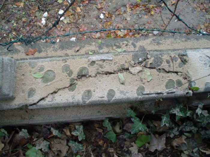 Archisio - Cristina Rampazzo - Progetto Restauro di villa la peruviana - anno 20052008