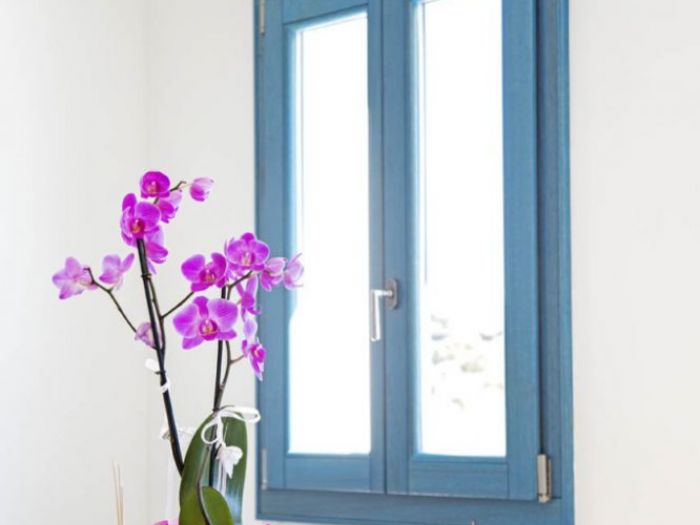 Archisio - Falegnameria Serra Figli - Progetto Lavorazioni in legno in stile classico