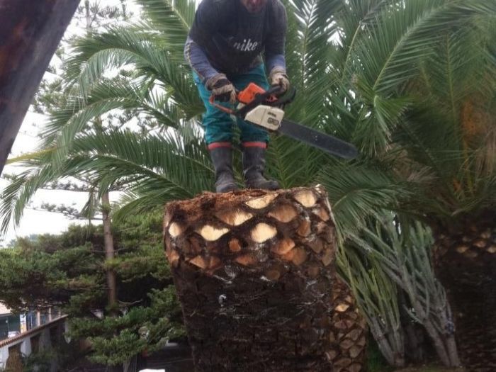 Archisio - Service Garden - Progetto Manutenzione verde