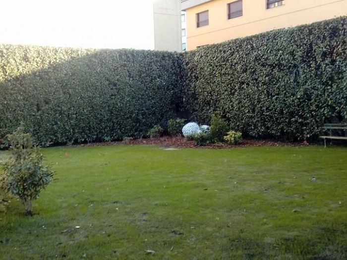 Archisio - I Giardini Dei Tudor - Progetto Manutenzione area verde privato