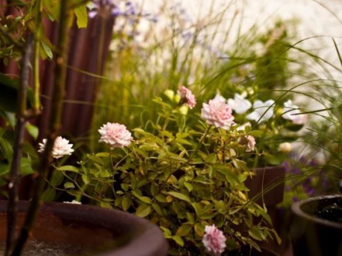 Archisio - Lucrezia Didonna - Progetto Casa privata