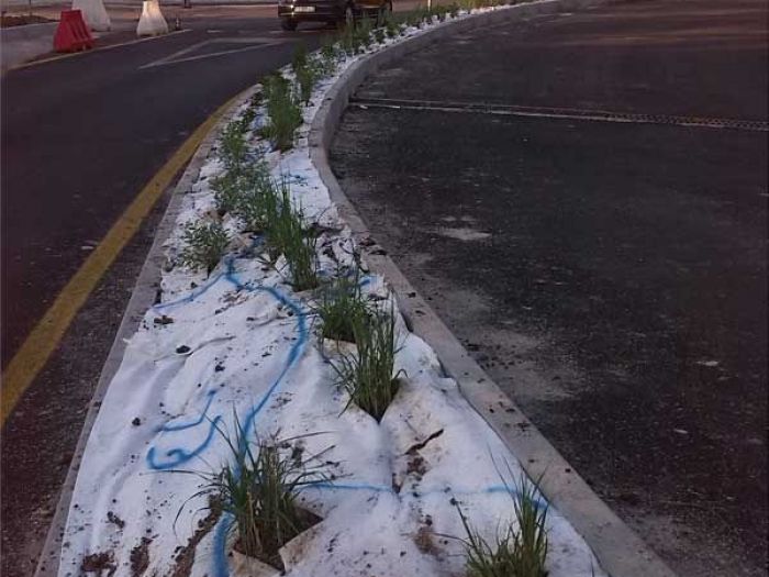 Archisio - Lucia Panzetta - Progetto Rotatoria di lanciano