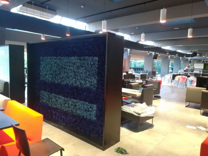 Archisio - Fiorissima Italiana srl - Progetto Muri vegetali stabilizzati