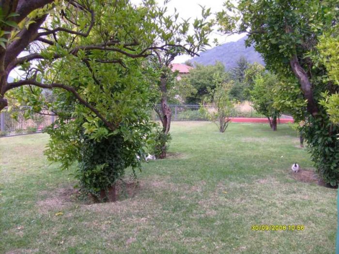 Archisio - Bartolomeo Fiorillo - Progetto Una casa a massa