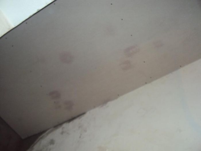 Archisio - Idraulica La Goccia - Progetto Appartamento voltri