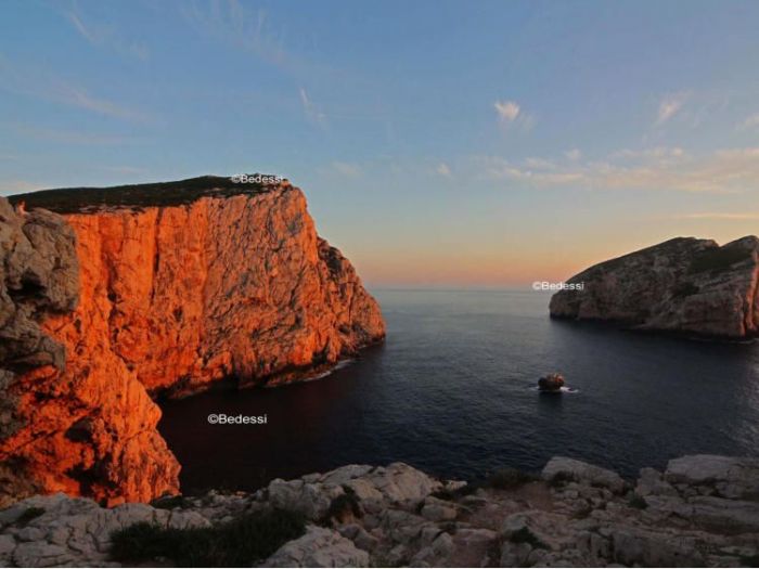 Archisio - Puntofoto Multimedia - Progetto Servizi fotografici