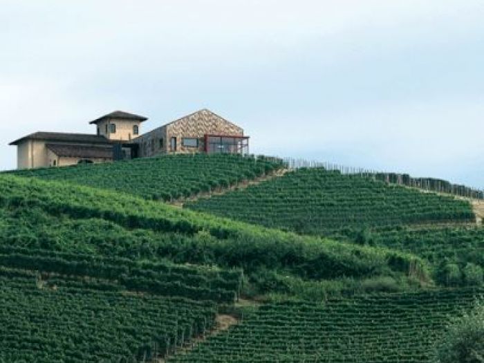 Archisio - Studio Boroli - Progetto Cantina la brunella