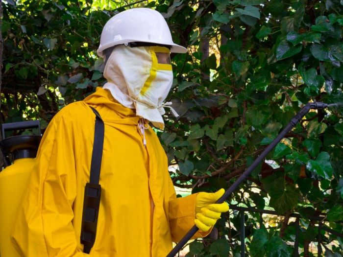 Archisio - Il Mondo Dei Mestieri - Progetto Servizi di disinfestazione e derattizzazione a roma