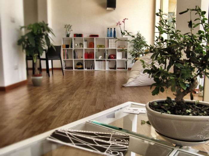 Archisio - Soa Spazio Oltre Larchitettura - Progetto Studio in vetrina soa