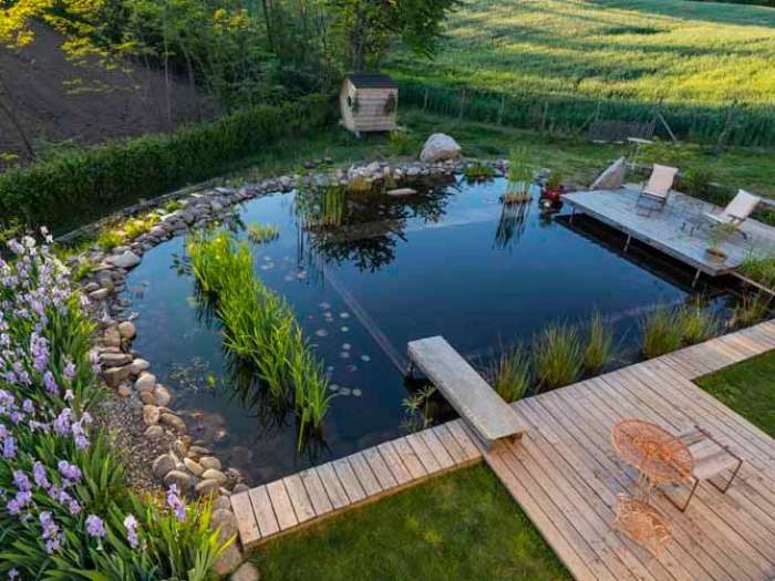 Archisio - Suingiardino Snc - Progetto Biopiscina