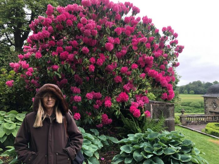 Archisio - Claudia Dibbe Piazza - Progetto Storica dellarte ed ingegnere agronomo Paesaggismo e home decor counselling