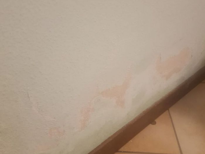 Archisio - Stil Pitture Di Gorgoglione Salvatore - Progetto Rilevazione di umidit su pareti