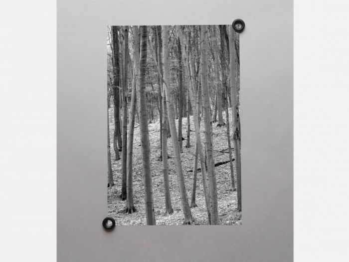 Archisio - Giacomucci Roberto - Progetto Bunpin