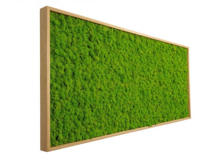 Archisio - Verde Passione - Progetto Quadri in moss
