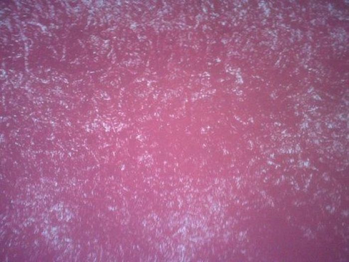 Archisio - Fabrizio Patrone Parquet - Progetto Imbiancatura di interni