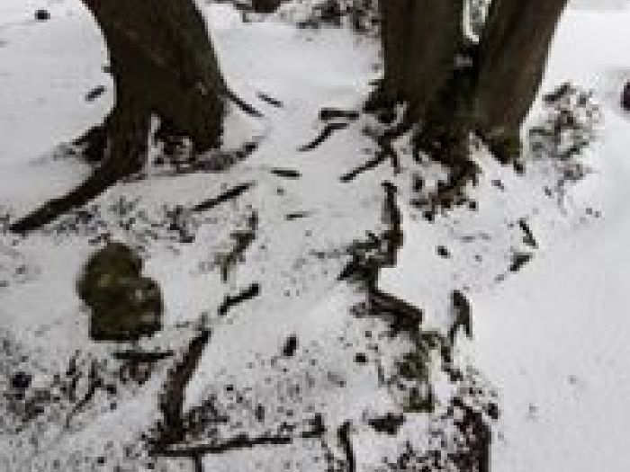 Archisio - Alessandro Corongiu Fotografia - Progetto Giara sotto la neve