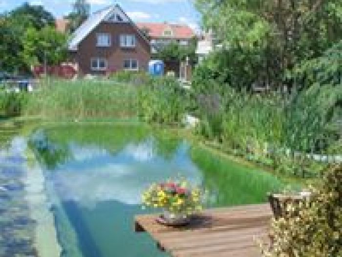 Archisio - Arqtropa Studio - Progetto Piscine naturali e vegetazione acquatica