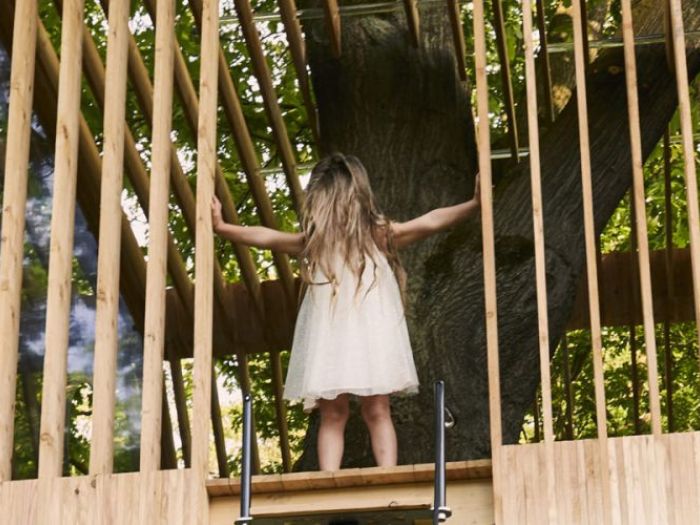 Archisio - Caf Meticcio Studio Dedign - Progetto Casa sullalbero