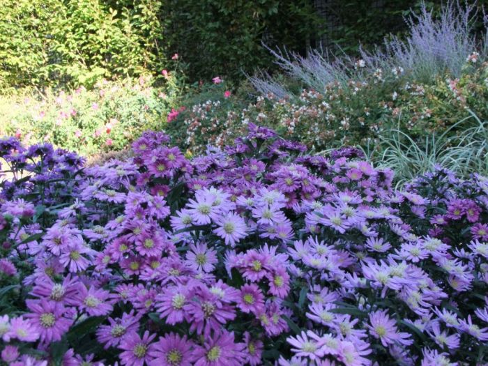 Archisio - Areaverde Consulting - Progetto Ambientazione