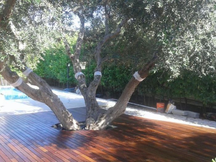 Archisio - Schinco Parquet srl - Progetto Decking