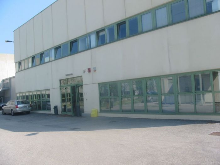 Archisio - Mauro Ioli - Progetto Commerciale