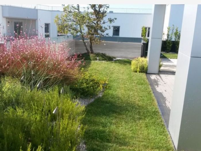 Archisio - Artenatura Vivai Saas - Progetto Giardino pensile