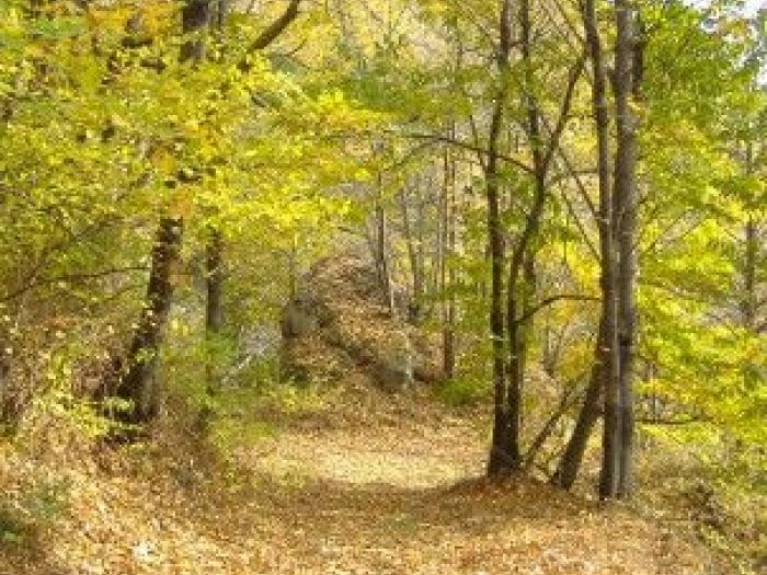 Archisio - Studio Di Agronomia E Architettura Del Paesaggio - Progetto Progetto paesaggio biellese