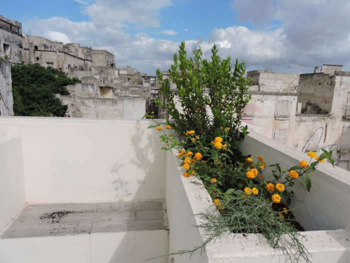 Archisio - Magda Giove - Progetto La nassa