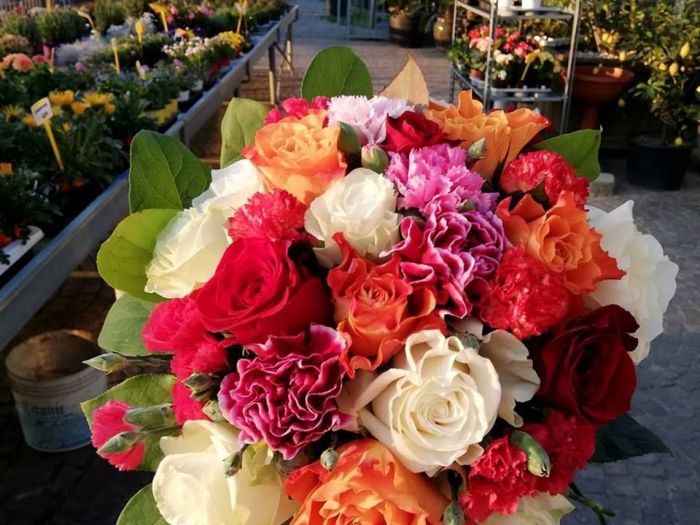 Archisio - Robi Bonaita Alessio Bonaita Fabiano Bonaita - Progetto I fiori di ornella